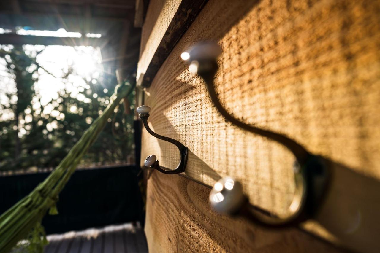 Charmante Cabane Dans Les Arbres Avec Jacuzzi Et Sauna Boismorand Экстерьер фото